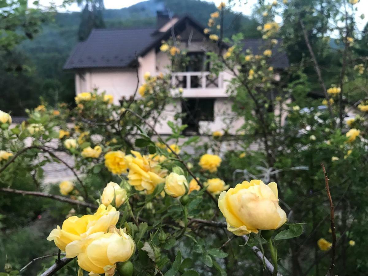 Villa Medova Косов Экстерьер фото